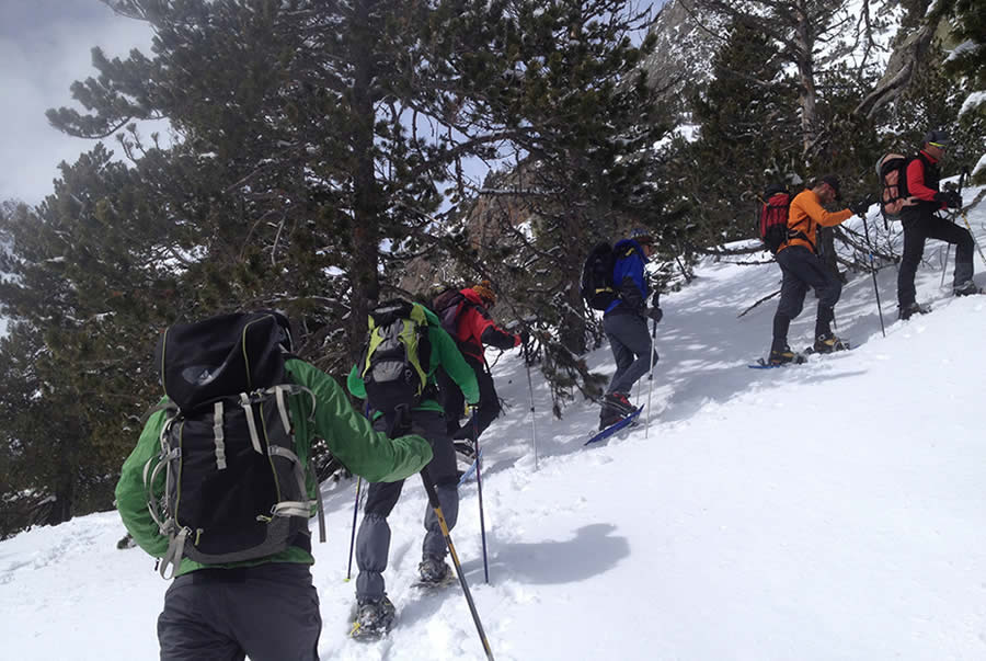 excursionistas practicando raquetas de nieve en paisajes nevados de la Sierra de Cazorla
