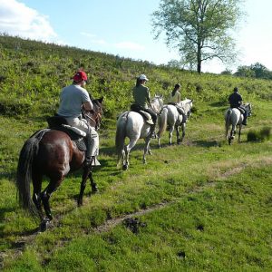 ruta a caballo, actividad en Sierra de Cazorla para rodearse de naturaleza y paisajes bellisimos