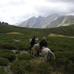Ruta a caballo por la sierra