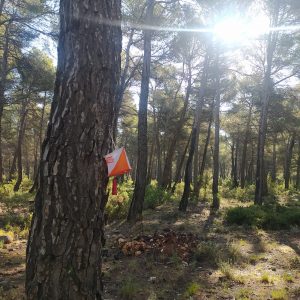 carrera de orientacion para una jornada de actividades en la naturaleza en sierras de cazorla